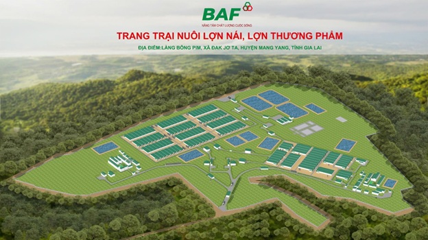 SEAREE TĂNG TRƯỞNG BACKLOG VƯỢT TRỘI, TẠO NỀN TẢNG LỢI NHUẬN BỀN VỮNG CHO SRF (1)