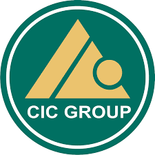 Phân tích tài chính của CTCP Tập đoàn Tư vấn Đầu tư & Xây dựng Kiên Giang (HOSE)