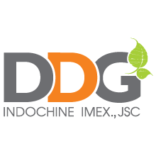 Logo Công ty cổ phần Đầu tư Công nghiệp Xuất nhập khẩu Đông Dương - DDG>