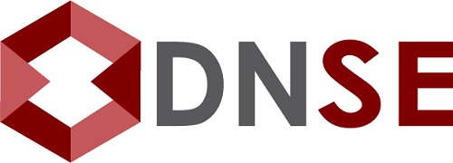 Logo Công ty Cổ phần Chứng khoán DNSE - DNSE>