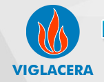 Logo Công ty Cổ phần Kính Viglacera Đáp Cầu - DSG>