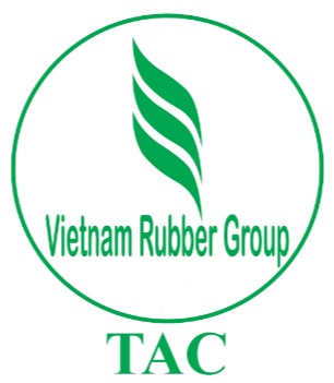 CTCP Chế biến Gỗ Thuận An - GTA