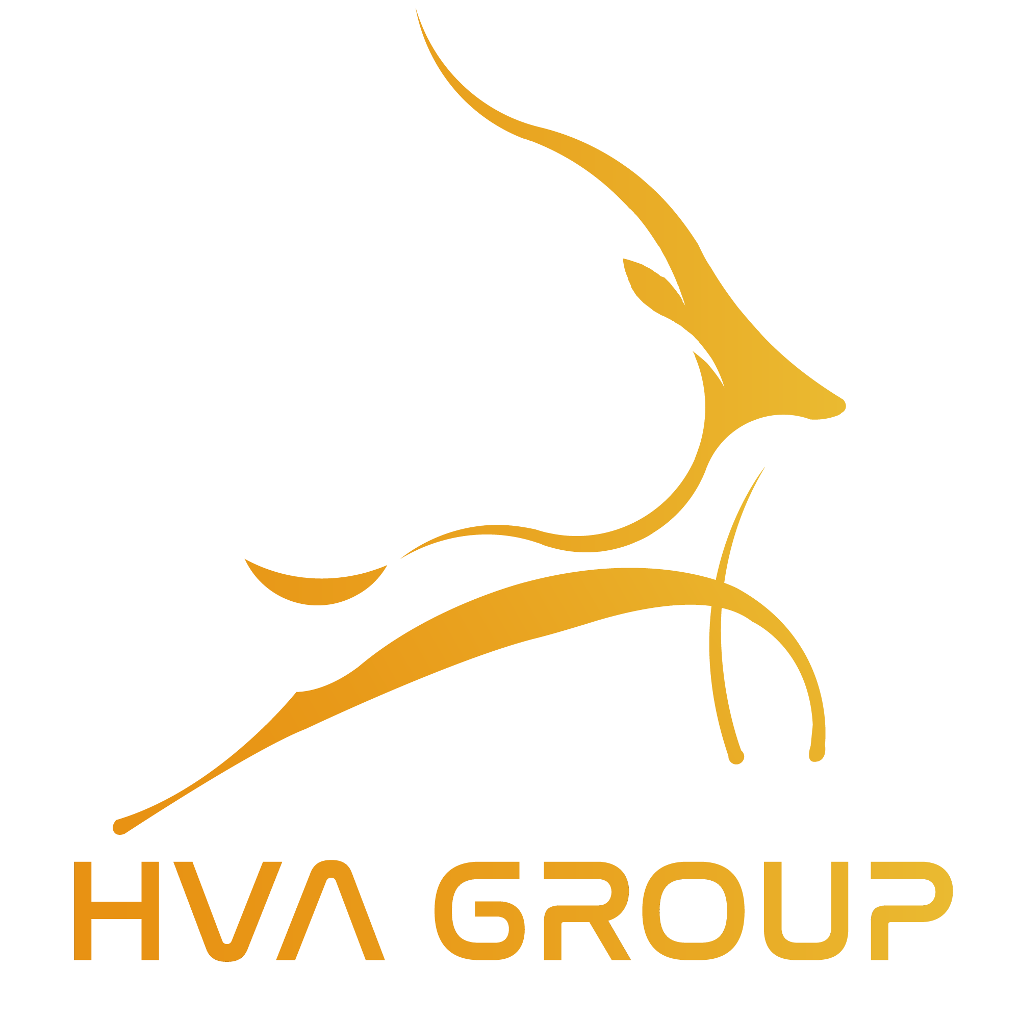 Logo Công ty cổ phần Đầu tư HVA - HVA>
