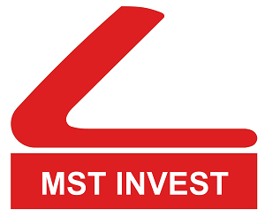 Phân tích tài chính của Công ty Cổ phần Đầu tư MST (HNX)