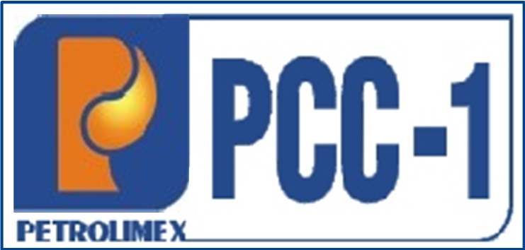 Phân tích tài chính của Công ty Cổ phần Tập đoàn Xây lắp 1 - Petrolimex (UpCOM)