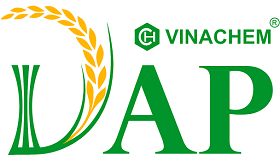 Cafe Tài Chính - Phân tích tài chính của Công ty cổ phần DAP - VINACHEM (UpCOM)