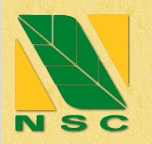 CTCP Ngân Sơn - NST