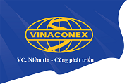 Phân tích tài chính của Công ty Cổ phần Đầu tư và Xây dựng Vina2 (HNX)