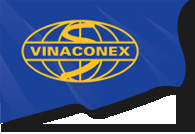 Cafe Tài Chính - Phân tích tài chính của Công ty Cổ phần Nhân lực và Thương mại Vinaconex (HNX)