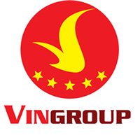 Phân tích tài chính của Tập đoàn Vingroup - Công ty Cổ phần (HOSE)