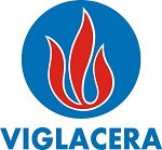 Phân tích tài chính của Công ty Cổ phần Viglacera Từ Sơn  (UpCOM)