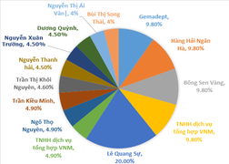 Chứng khoán Công Nghiệp Việt Nam: GMD nắm 9,8% vốn, năm 2012 lỗ 9,5 tỷ đồng