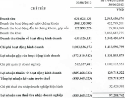 VTSS: Miễn nhiệm Tổng Giám đốc, quý 2/2013 lỗ hơn 880 triệu đồng